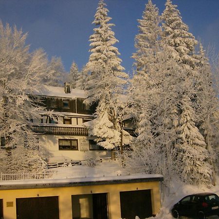 Pension Stiegelmeier Винтерберг Экстерьер фото