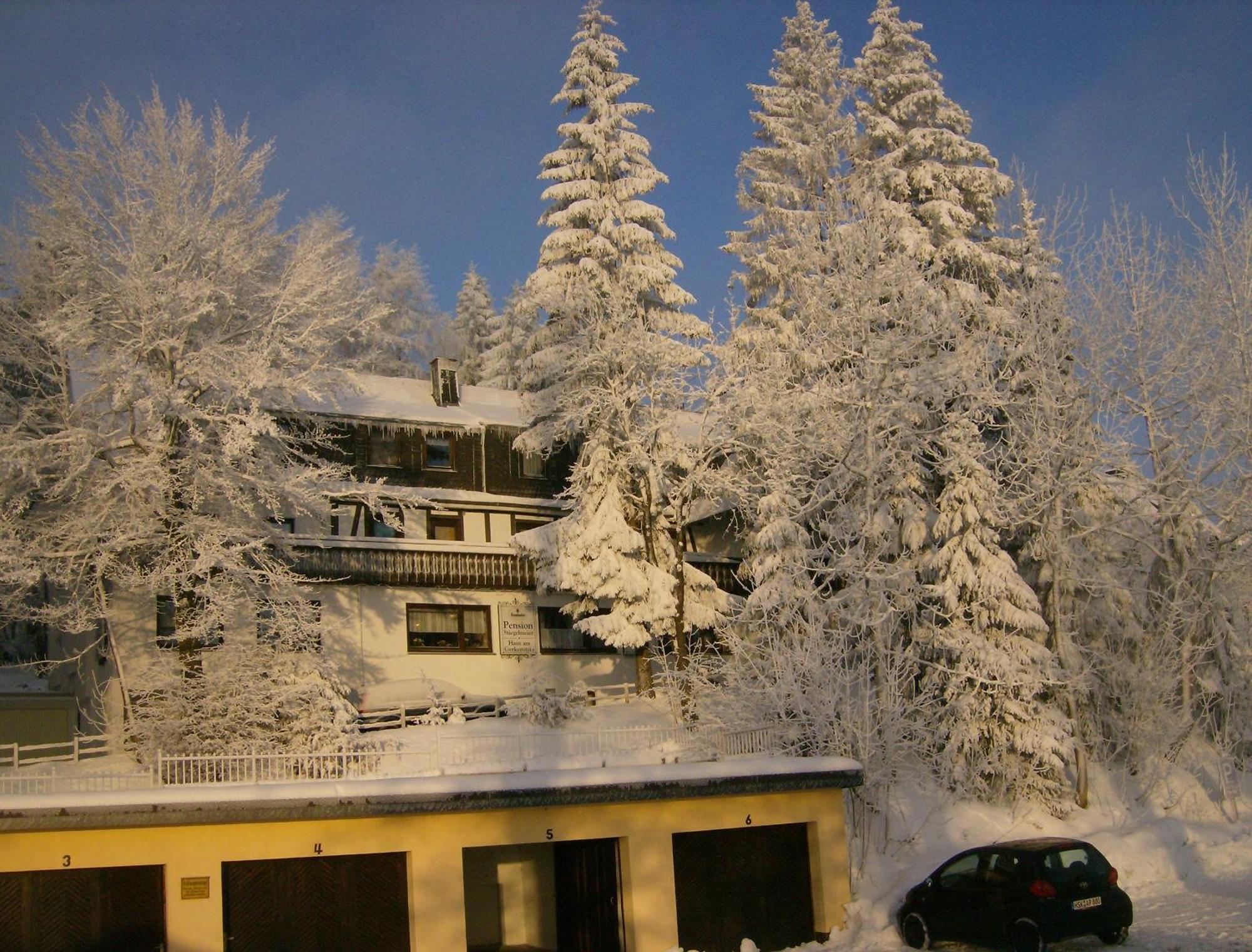 Pension Stiegelmeier Винтерберг Экстерьер фото