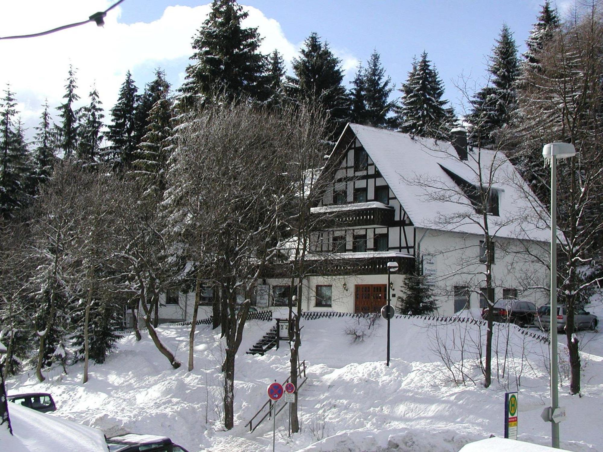 Pension Stiegelmeier Винтерберг Экстерьер фото